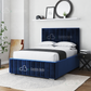 Livy Upholstered Bed Frame With Storage Options