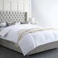 Charlie Chesterfield Wingback Divan bed with Floor Standing Headboard & Mattress Options - Cuddly Beds